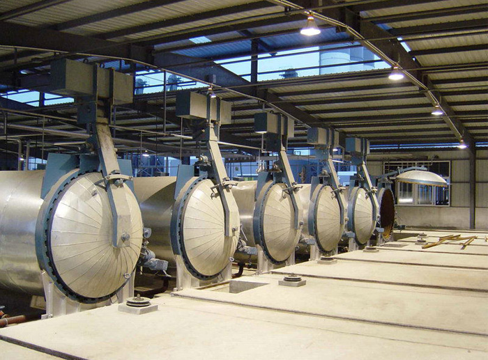 Тип FGZSS (полностью автоматический автоклав)